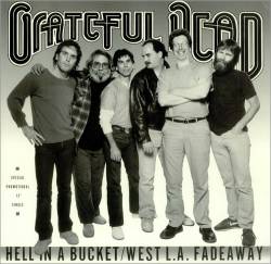 Grateful Dead : Hell in a Bucket